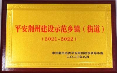 高陵镇：夯实基层社会治理 创建平安建设示范乡镇