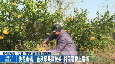 桃花山镇：金秋硕果满枝头  村民喜悦上眉梢