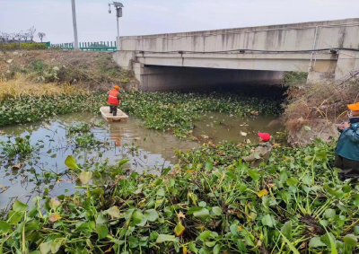 全面深化“河长制”打造水清景美新桃花