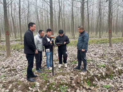 石首市完成森林蓄积量年度调查监测工作