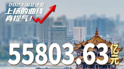 2023，湖北这些上扬的曲线真提气！