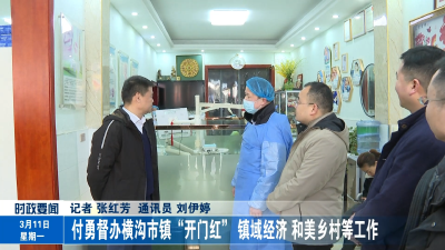 付勇督办横沟市镇“开门红”、镇域经济、和美乡村等工作