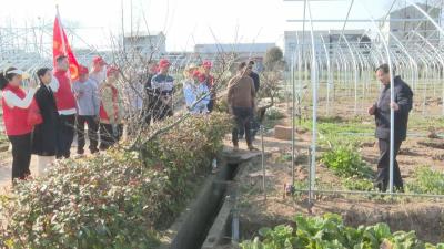 石首市农业农村局：学习雷锋精神 助力农业灾后重建