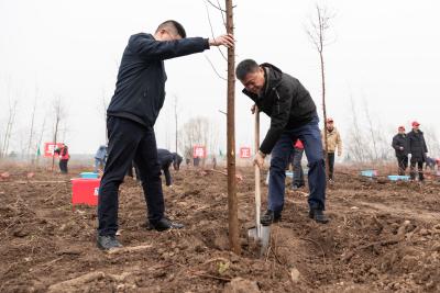石首市领导参加义务植树活动
