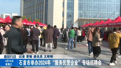 石首市举办2024年“服务民营企业”专场招聘会