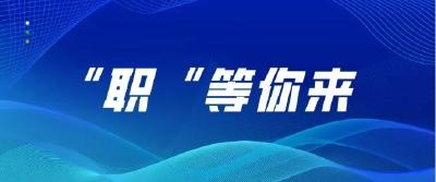 石首市2024年“服务民营企业” 专场招聘会（六）