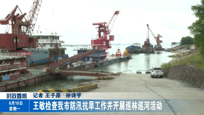 王敏检查我市防汛抗旱工作并开展巡林巡河活动