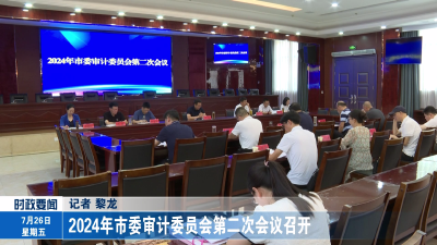 2024年市委审计委员会第二次会议召开