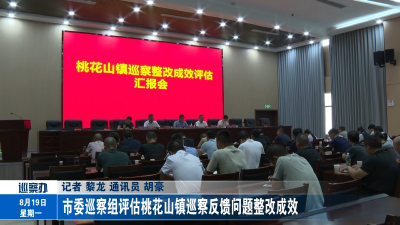 市委巡察组评估桃花山镇巡察反馈问题整改成效