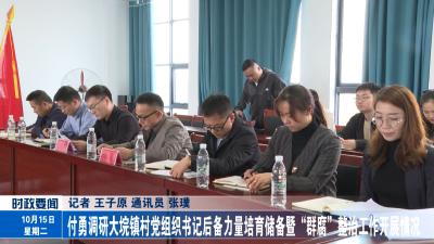 付勇调研大垸镇村党组织书记后备力量培育储备暨“群腐”整治工作开展情况