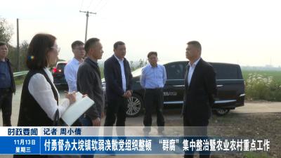 付勇督办大垸镇软弱涣散党组织整顿  “群腐”集中整治暨农业农村重点工作