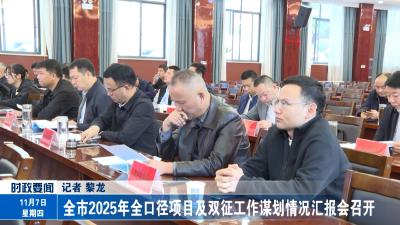 全市2025年全口径项目及双征工作谋划情况汇报会召开