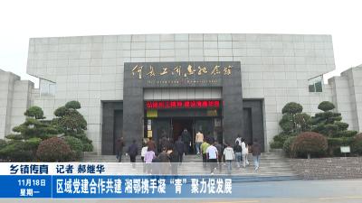 区域党建合作共建 湘鄂携手凝“青”聚力促发展