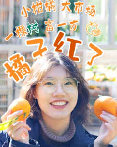 橘子“红”啦！
