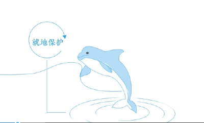 长江“美颜” 江豚胖了
