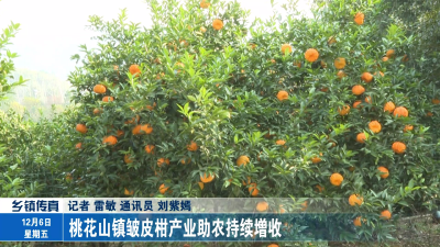 桃花山镇皱皮柑产业助农持续增收
