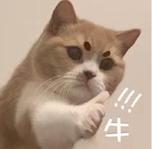 IP曾显示为月球的“石头”，如今也能穿上身？