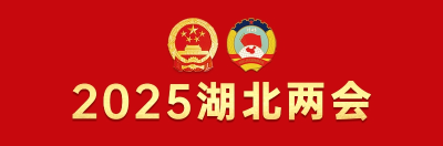 代表委员热议提升武汉都市圈能级，将花湖机场打造成内陆开放“空中出海口”