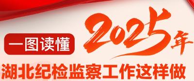 一图读懂 | 2025年湖北纪检监察工作这样做