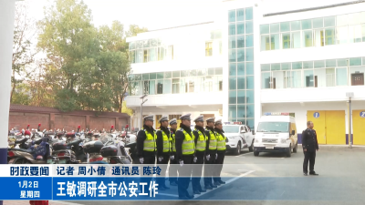王敏调研全市公安工作