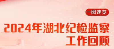 一图速览 | 2024年湖北纪检监察工作回顾