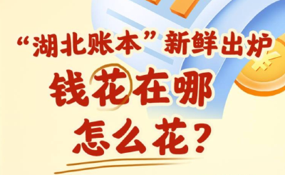 “湖北账本”新鲜出炉，钱花在哪？怎么花？一图读懂