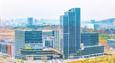 “新”潮澎湃 “新”路领航——写在2025年湖北省科技创新大会召开之际