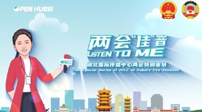 两会佳音丨来吧！湖北与大湾区“双向奔赴”