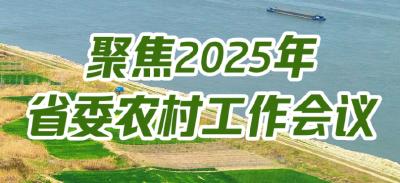 聚焦2025年湖北省委农村工作会议