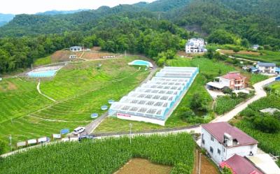 解码“春耕密码”：数字赋能+生态循环构建绿色农业新气象