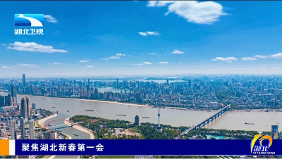 湖北“新春第一会”：勇担战略使命，加快建成支点