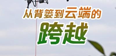 视点丨从背篓到云端的跨越