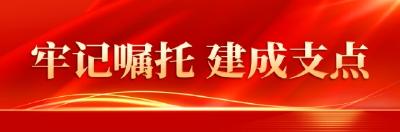 牢记嘱托 建成支点丨历史文化街区“动”起来，武汉三镇展现新风华