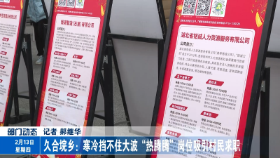 久合垸乡：寒冷挡不住大波“热腾腾”岗位吸引村民求职