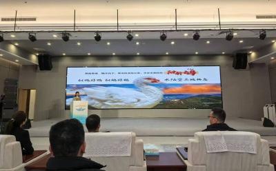 从“深闺珍禽”到“国民爆款”——看阳新屯鸟如何走出产业破圈之路