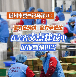随州市委书记马泽江：聚力优环境 全力争进位 在全省支点建设中展现随州担当