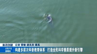 构建多层次科普教育体系   打造全民科学素质提升新引擎