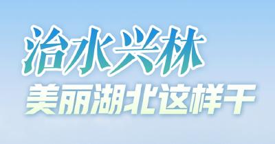 治水兴林，美丽湖北这样干