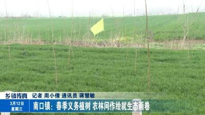 南口镇：春季义务植树 农林间作绘就生态画卷