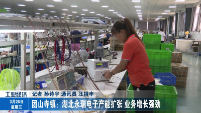 团山寺镇：湖北永瑞电子产能扩张