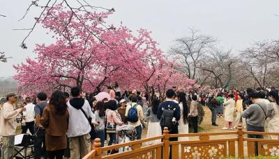 牢记嘱托 建成支点·市州委书记说④丨锚定世界级，迈向万亿级