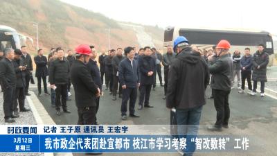 我市政企代表团赴宜都市、枝江市学习考察“智改数转”工作