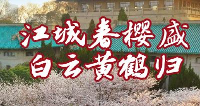樱花只是开场！1份邀约＝6种世界级风景