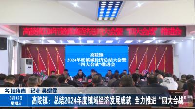 高陵镇：总结2024年度镇域经济发展成就  全力推进“四大会战”