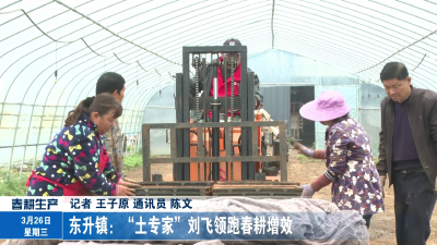 东升镇：“土专家”刘飞领跑春耕增效