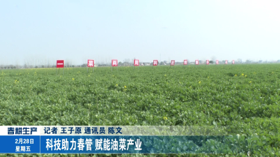 科技助力春管 赋能油菜产业