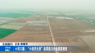 小河口镇：“小田并大田”改革助力农业提质增效