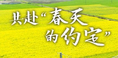 共赴“春天的约定”