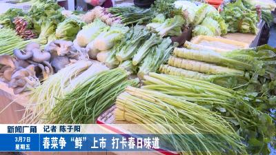 春菜争“鲜”上市 打卡春日味道