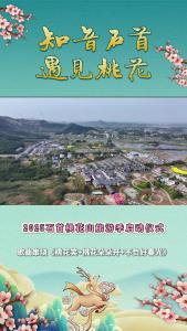 知音石首·遇见桃花 2025石首桃花山旅游季歌舞串烧.mp4